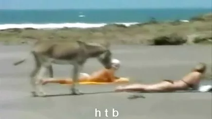 Bi oldukça bangbros altyazılı porno ağır