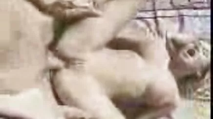 Gay türkçe altyazılı porno izle milf seks
